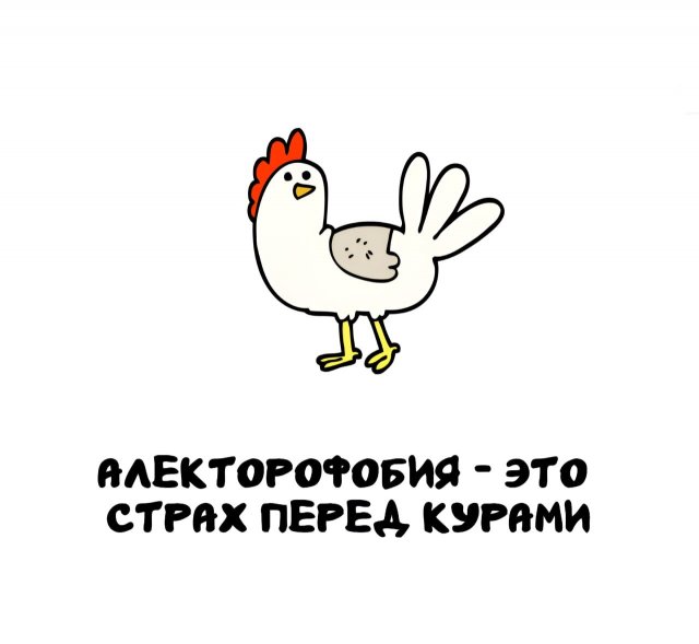 Интересные факты на все случаи жизни