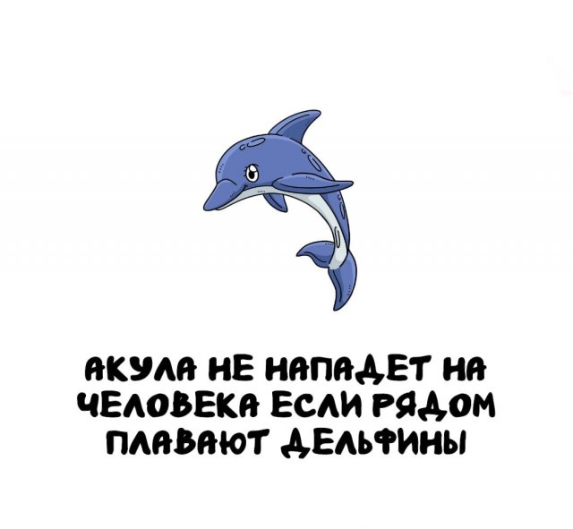 Интересные факты на все случаи жизни