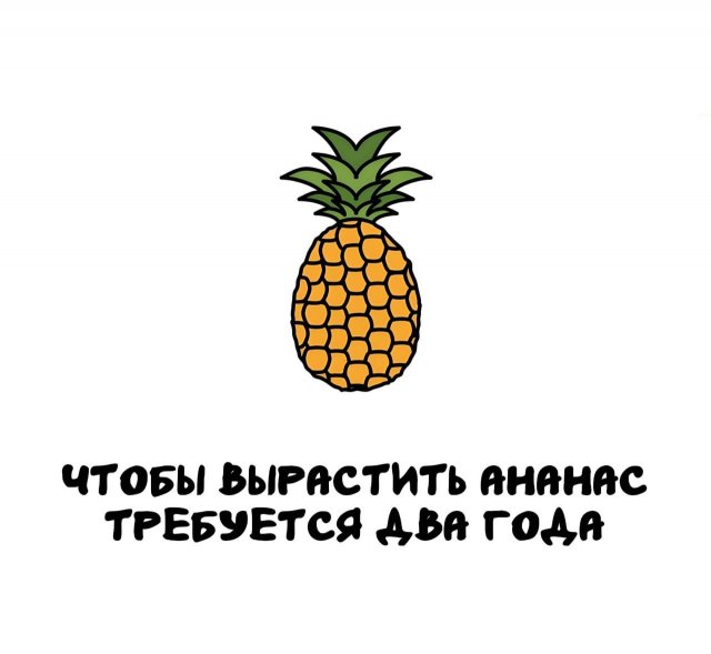 Интересные факты на все случаи жизни