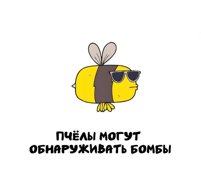 Интересные факты на все случаи жизни