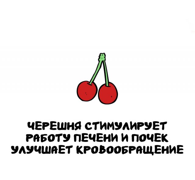 Интересные факты на все случаи жизни