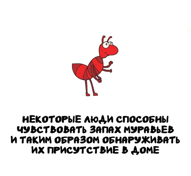 Интересные факты на все случаи жизни