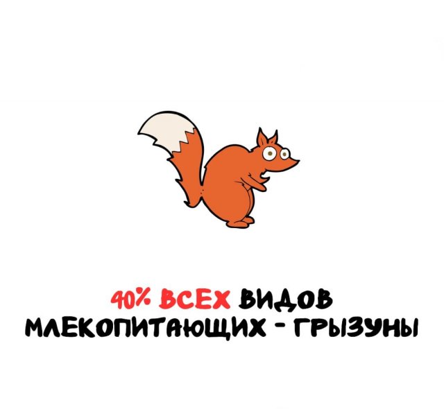 Интересные факты на все случаи жизни