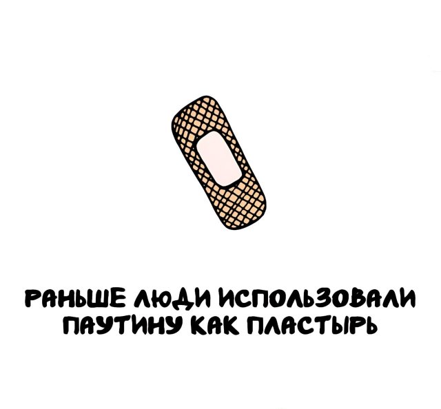 Интересные факты на все случаи жизни