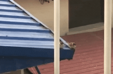 Подборка гифок -  26.12.2025