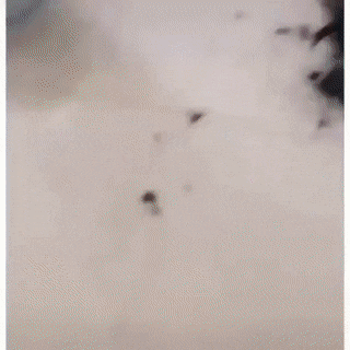 Подборка гифок -  26.12.2025