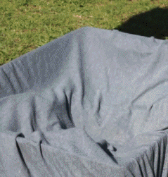 Подборка гифок -  26.12.2025