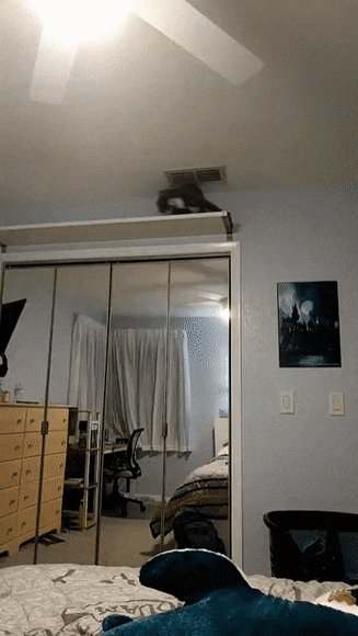 Подборка гифок -  26.12.2025