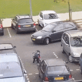 Подборка гифок -  26.12.2025