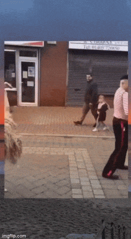 Подборка гифок -  29.12.2025