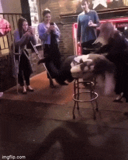 Подборка гифок -  29.12.2025