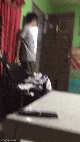 Подборка гифок -  29.12.2025