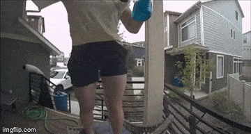 Подборка гифок -  29.12.2025