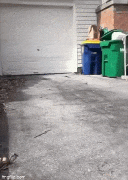 Подборка гифок -  29.12.2025