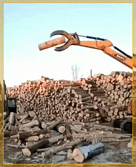 Подборка гифок -  29.12.2025