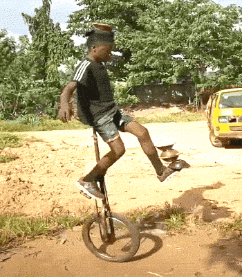 Подборка гифок -  29.12.2025