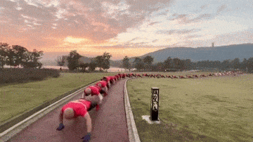 Подборка гифок -  29.12.2025