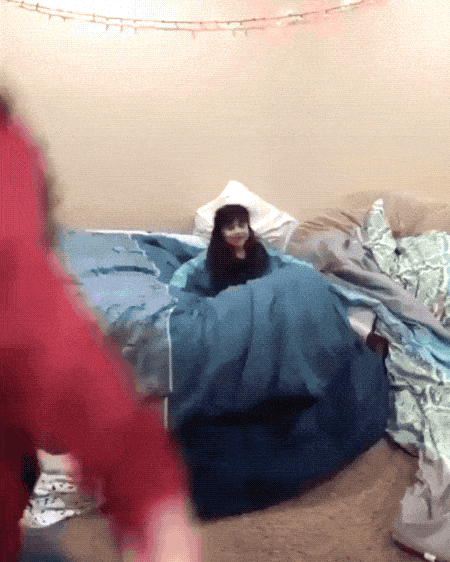 Подборка гифок -  29.12.2025