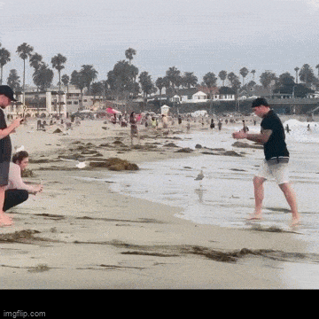 Подборка гифок -  29.12.2025