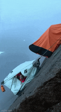 Подборка гифок -  29.12.2025