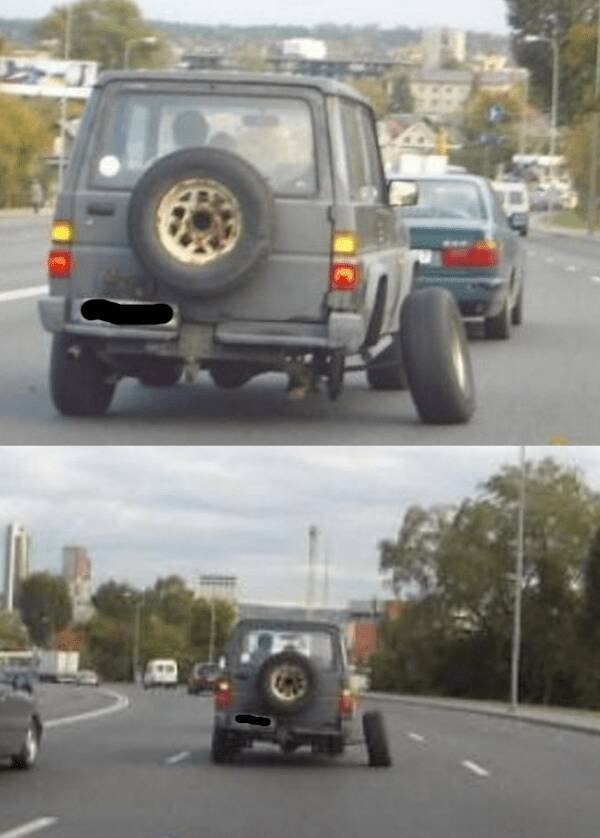 Подборка картинок. Вечерний выпуск - 29.12.2025