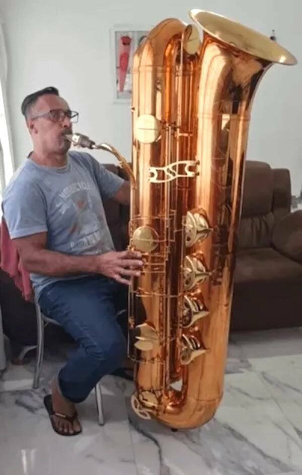 Подборка картинок. Вечерний выпуск - 29.12.2025