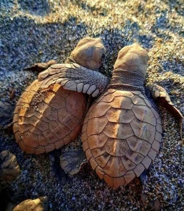 Подборка картинок. Вечерний выпуск - 29.12.2025