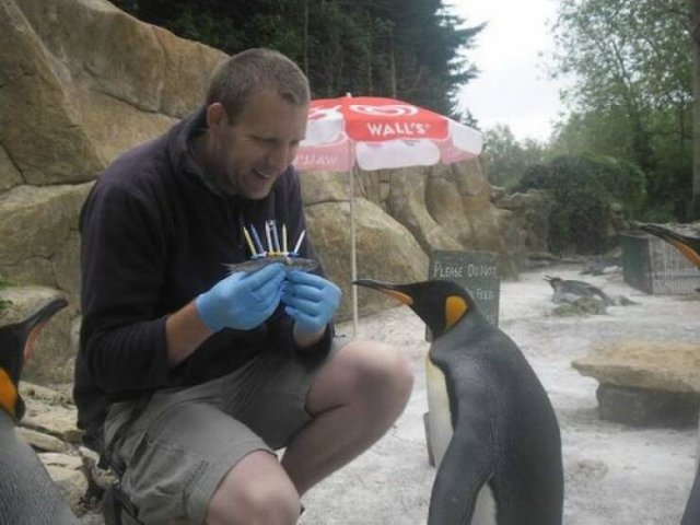 Подборка картинок. Вечерний выпуск - 29.12.2025