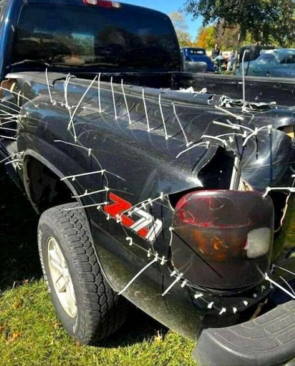 Подборка картинок. Вечерний выпуск - 29.12.2025