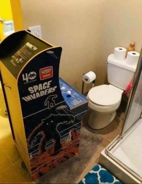 Подборка картинок. Вечерний выпуск - 29.12.2025