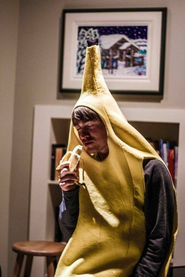 Подборка картинок. Вечерний выпуск - 29.12.2025