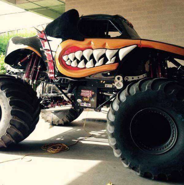 Подборка картинок. Вечерний выпуск - 29.12.2025