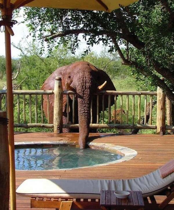 Подборка картинок. Вечерний выпуск - 29.12.2025