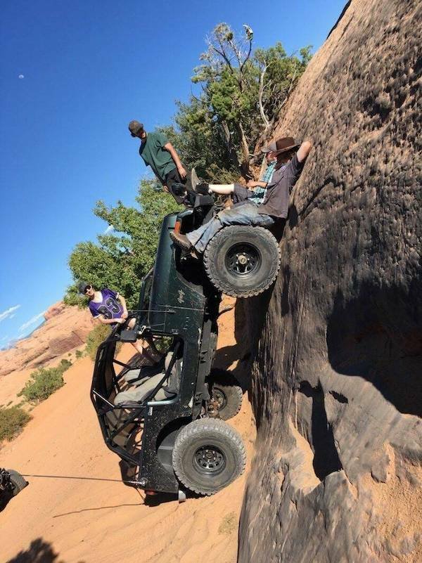 Подборка картинок. Вечерний выпуск - 29.12.2025
