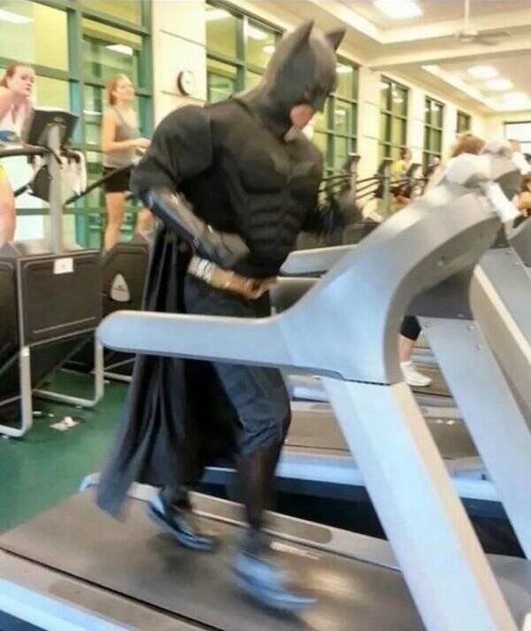 Подборка картинок. Вечерний выпуск - 29.12.2025