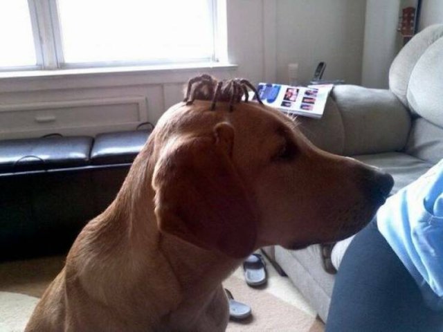 Подборка картинок. Вечерний выпуск - 29.12.2025