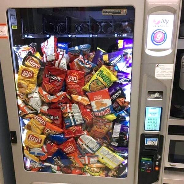 Подборка картинок. Вечерний выпуск - 29.12.2025