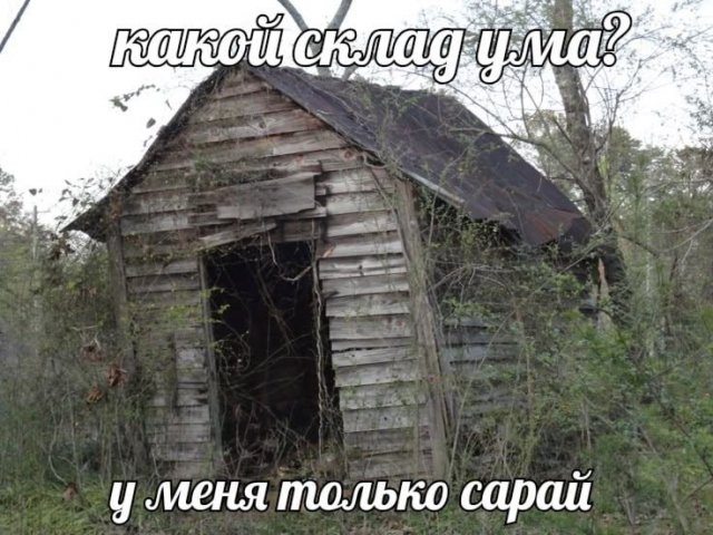 Лучшие шутки и мемы из Сети - 29.12.2025