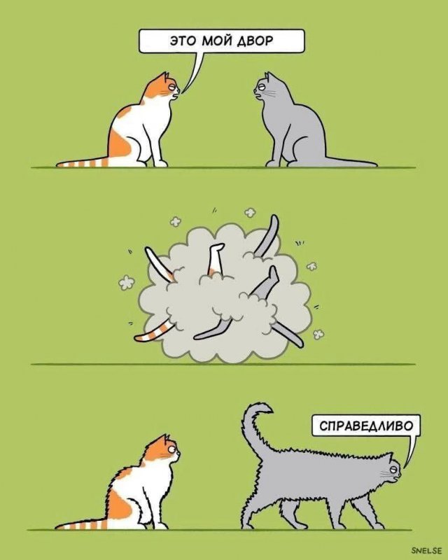 Лучшие шутки и мемы из Сети - 29.12.2025