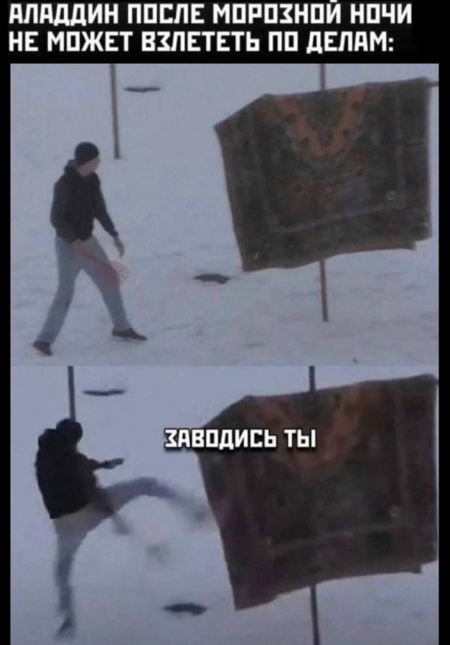 Лучшие шутки и мемы из Сети - 29.12.2025