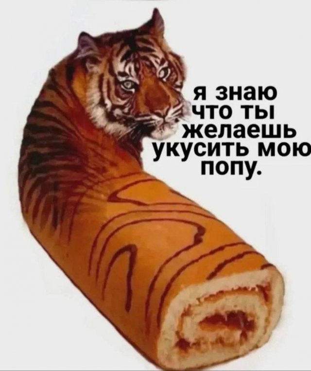 Лучшие шутки и мемы из Сети - 29.12.2025