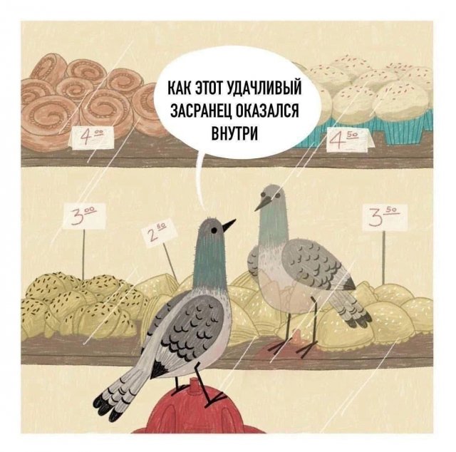 Лучшие шутки и мемы из Сети - 29.12.2025