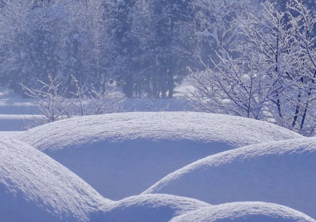 Удивительная картина из искусственного снега