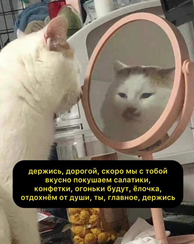 Новогодние картинки и мемы для хорошего настроения - подборка к 2026 году