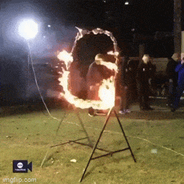 Подборка гифок -  30.12.2025