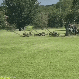 Подборка гифок -  30.12.2025