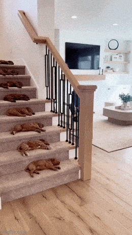 Подборка гифок -  30.12.2025