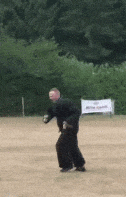 Подборка гифок -  30.12.2025