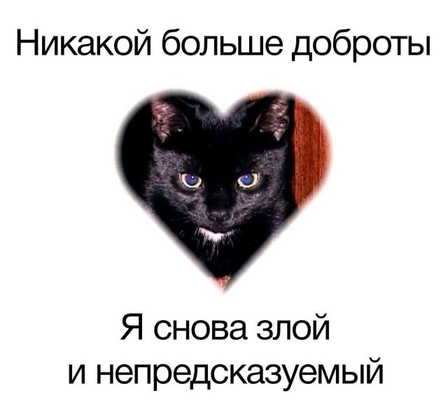 Смешные мемы - 05.01.2025