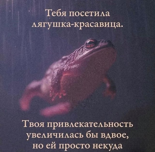 Смешные мемы - 05.01.2025